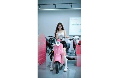 TAILG PRINCESS JS50 – MẪU XE ĐẠP ĐIỆN CÔNG CHÚA KHIẾN BAO NÀNG MÊ MẨN