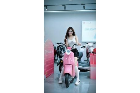 TAILG PRINCESS JS50 – MẪU XE ĐẠP ĐIỆN CÔNG CHÚA KHIẾN BAO NÀNG MÊ MẨN