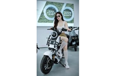 TAILG  DISCOVERY X51 – Vua Xe Đạp Điện Trong Tầm Giá 15 Triệu