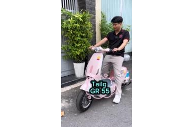 Xe Đạp Điện Tailg Hotgirl GR55 Luôn Cháy Hàng Tại Thế Giới Xe Điện