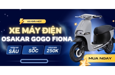 Cách xử lý các lỗi thường gặp trên xe máy điện Osakar Gogo Fiona ngay tại nhà