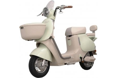 Xe Đạp Điện Tailg GR54 Đầy Đủ Giấy Tờ