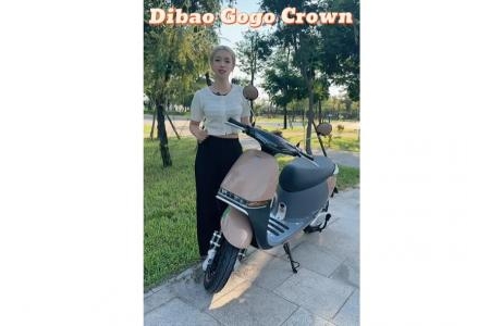 DIBAO GOGO CROWN – ĐẲNG CẤP CỦA MỘT CHIẾC XE ĐIỆN HOÀNG GIA