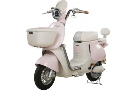 Xe Đạp Điện Tailg GR54