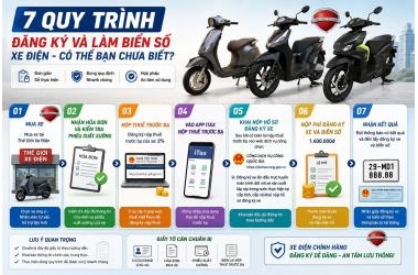 7 Quy Trình Đăng Ký Và Làm Biển Số Xe Điện - Có Thể Bạn Chưa Biết?