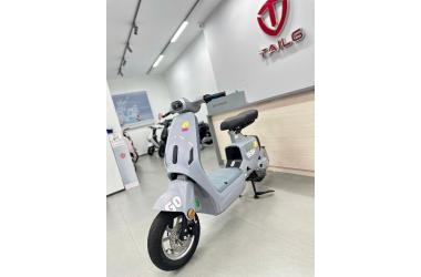 2026 Đừng Sợ Bị Phạt Khi Đổi Màu Sơn Xe Điện Nếu Bạn Làm Đúng Quy Trình