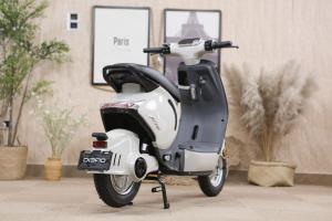 Xe Đạp Điện Dibao M1P 240W