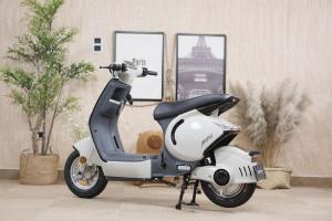 Xe Đạp Điện Dibao M1P 240W
