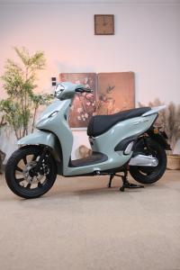 Xe Máy Điện Dibao LS007