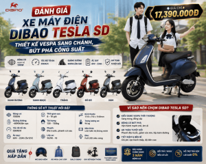 Xe Máy Điện Dibao Tesla SD